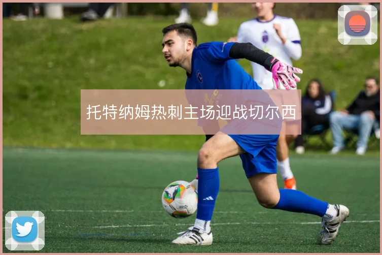 托特纳姆热刺主场迎战切尔西