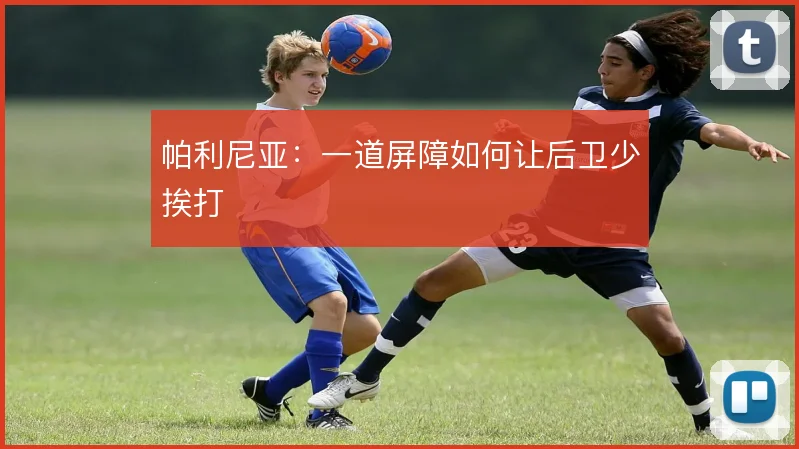 帕利尼亚：一道屏障如何让后卫少挨打
