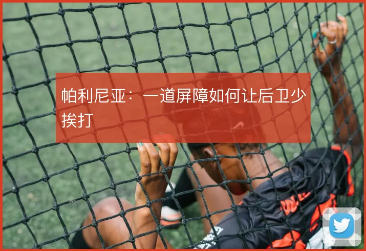 帕利尼亚：一道屏障如何让后卫少挨打