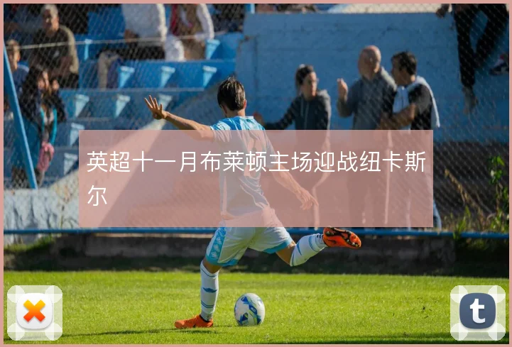 英超十一月布莱顿主场迎战纽卡斯尔