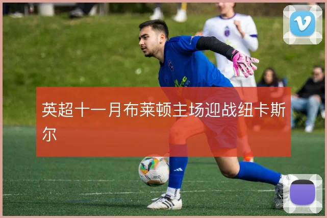 英超十一月布莱顿主场迎战纽卡斯尔